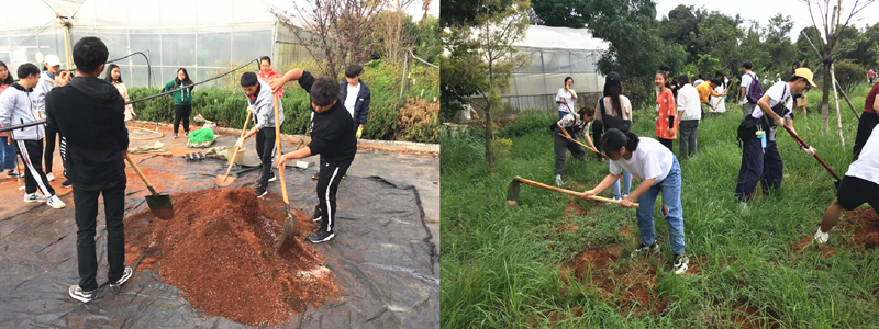 2024老澳门原料网大全