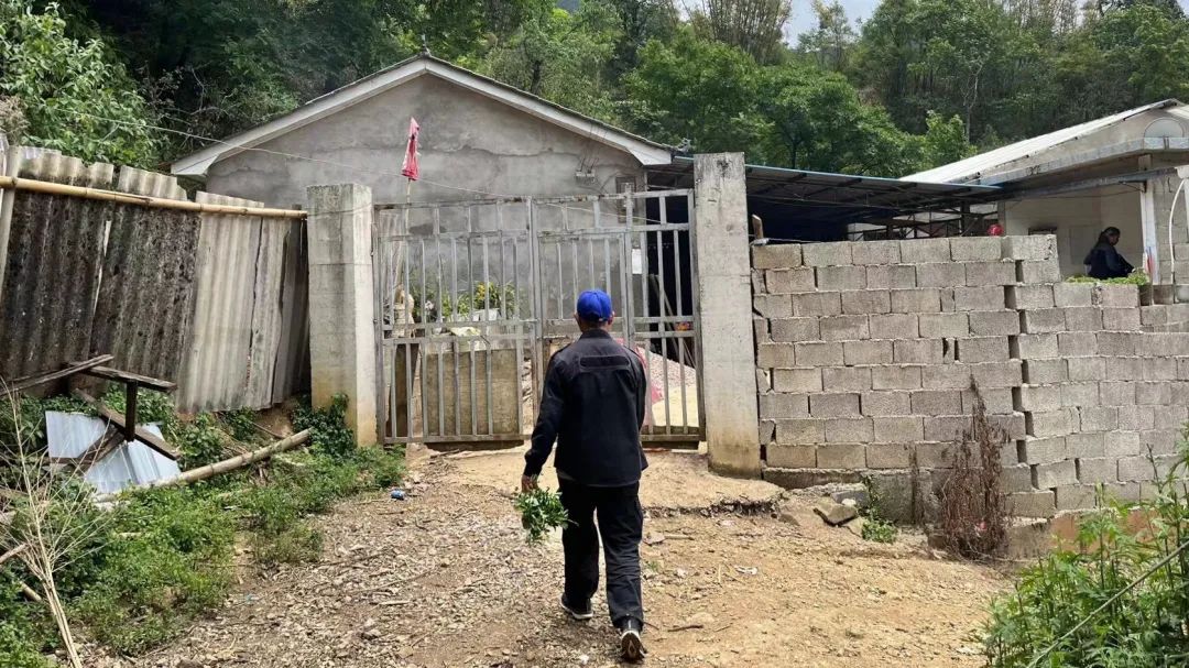 2024老澳门原料网大全