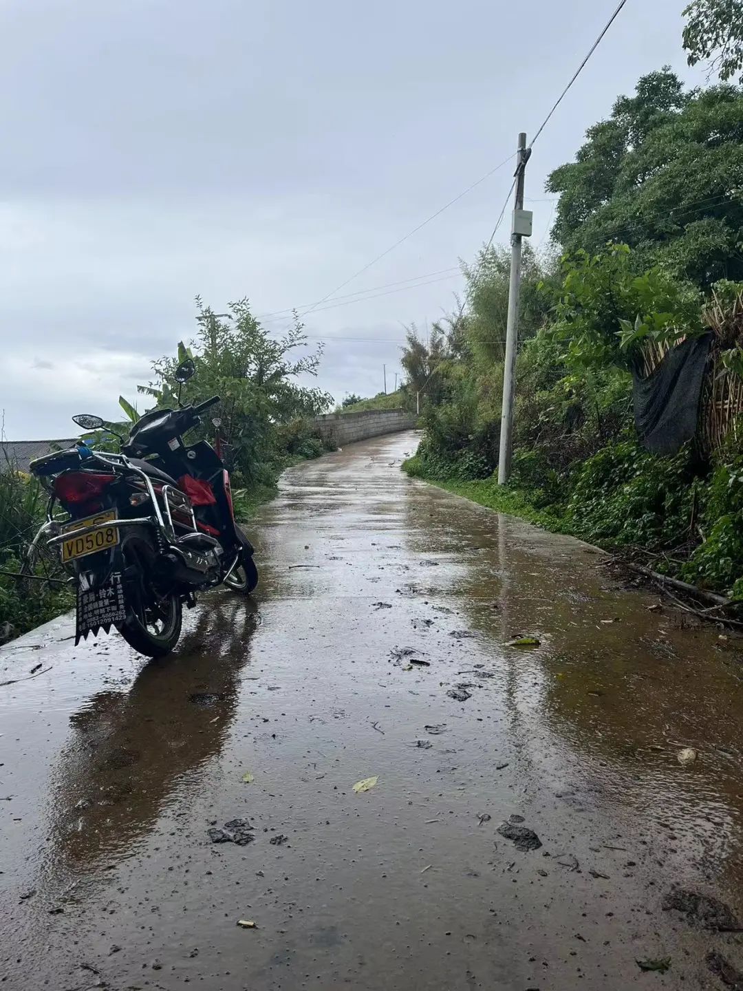 2024老澳门原料网大全