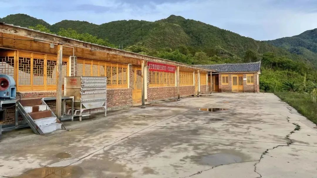 2024老澳门原料网大全