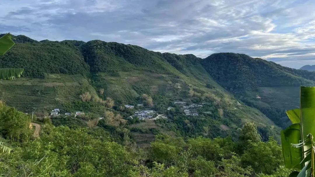 2024老澳门原料网大全