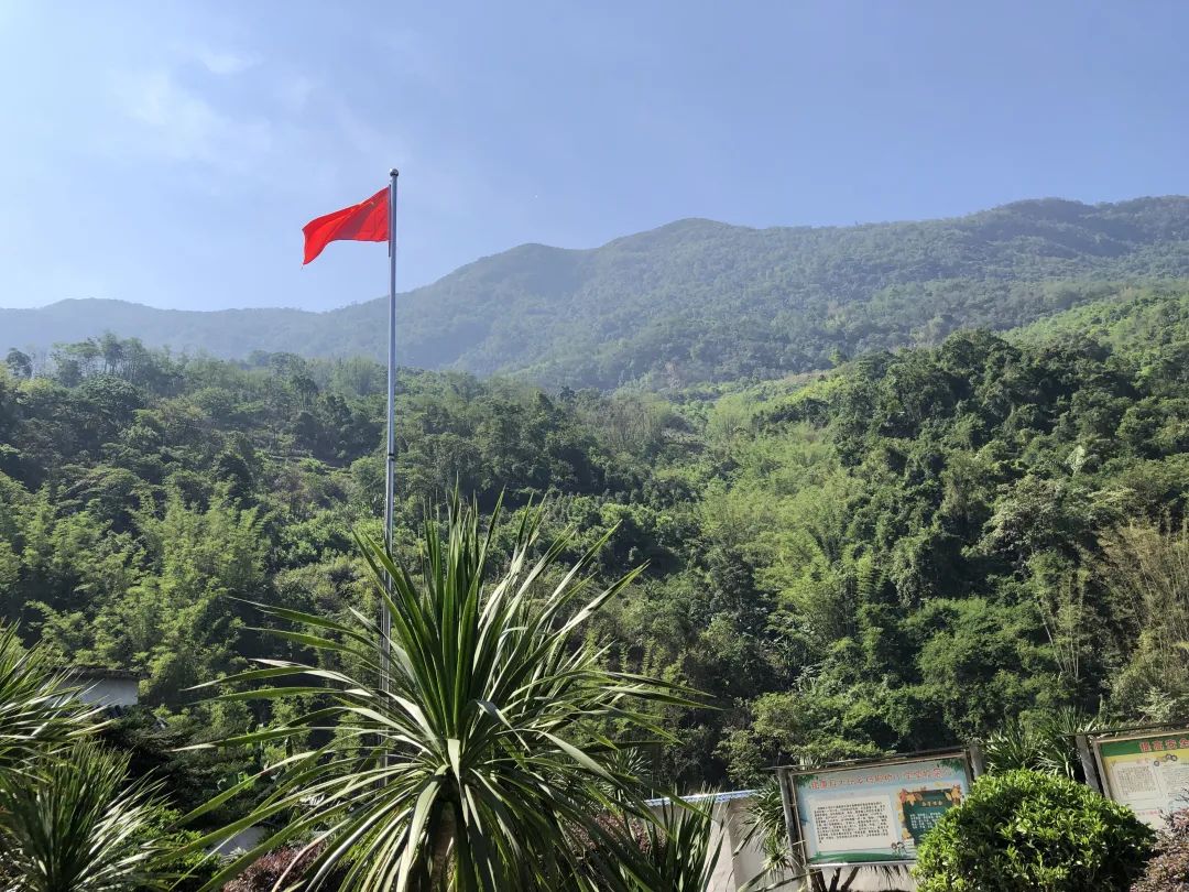 2024老澳门原料网大全