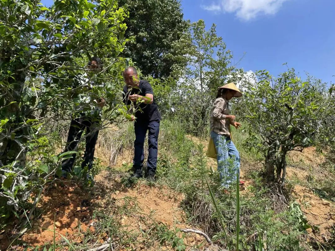 2024老澳门原料网大全