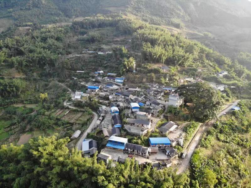 2024老澳门原料网大全