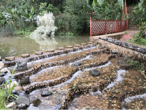 2024老澳门原料网大全