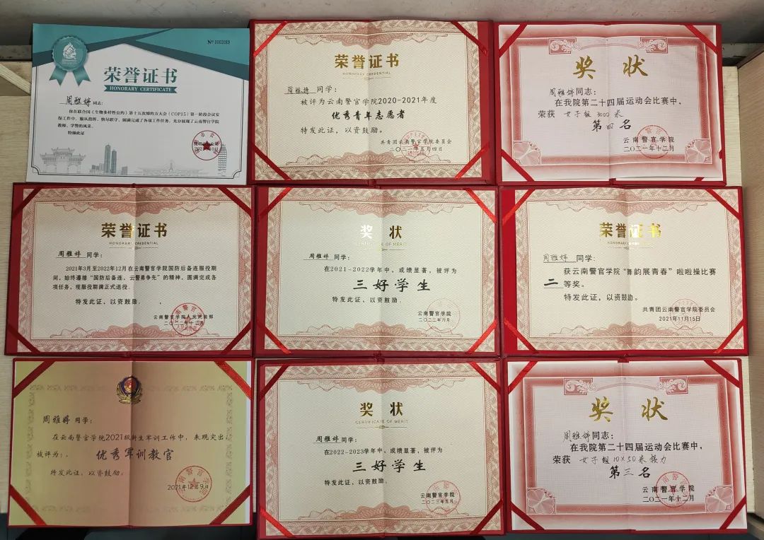 2024老澳门原料网大全