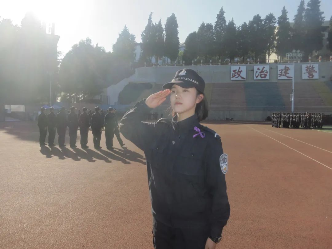 2024老澳门原料网大全