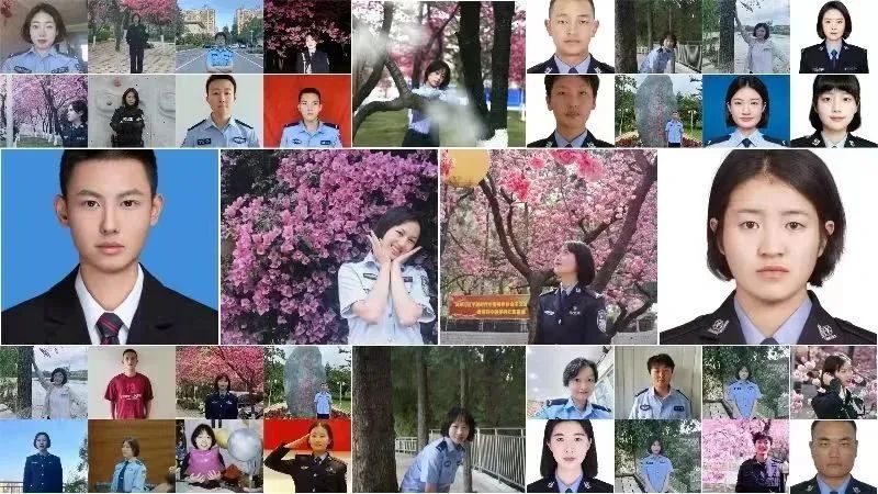 2024老澳门原料网大全