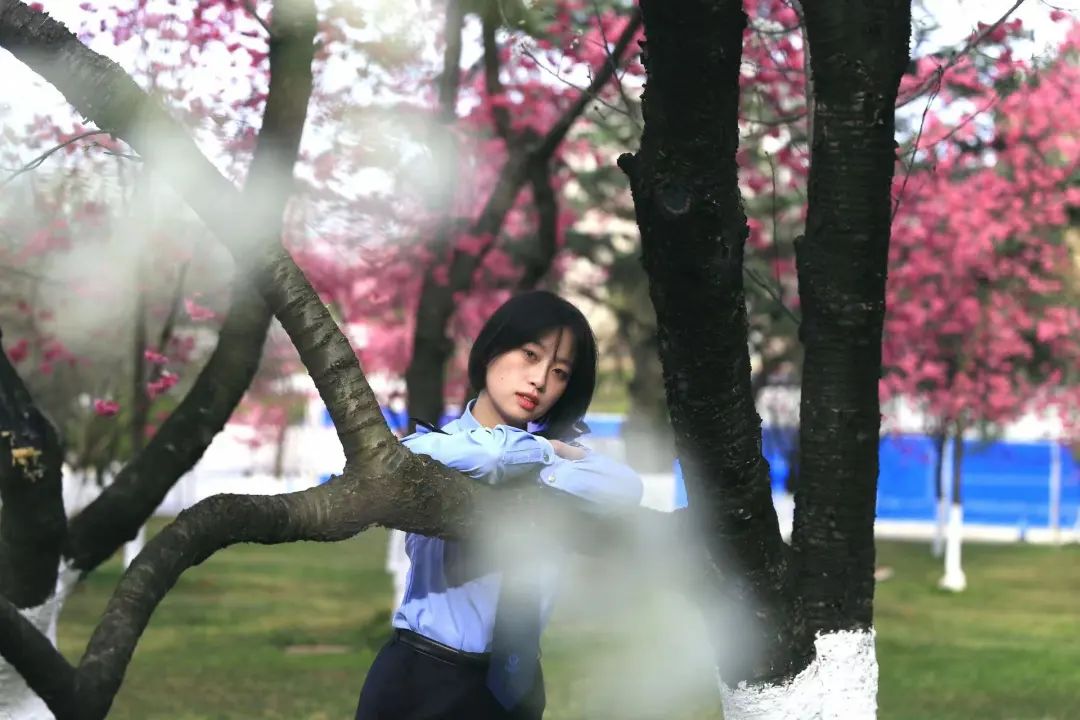 2024老澳门原料网大全