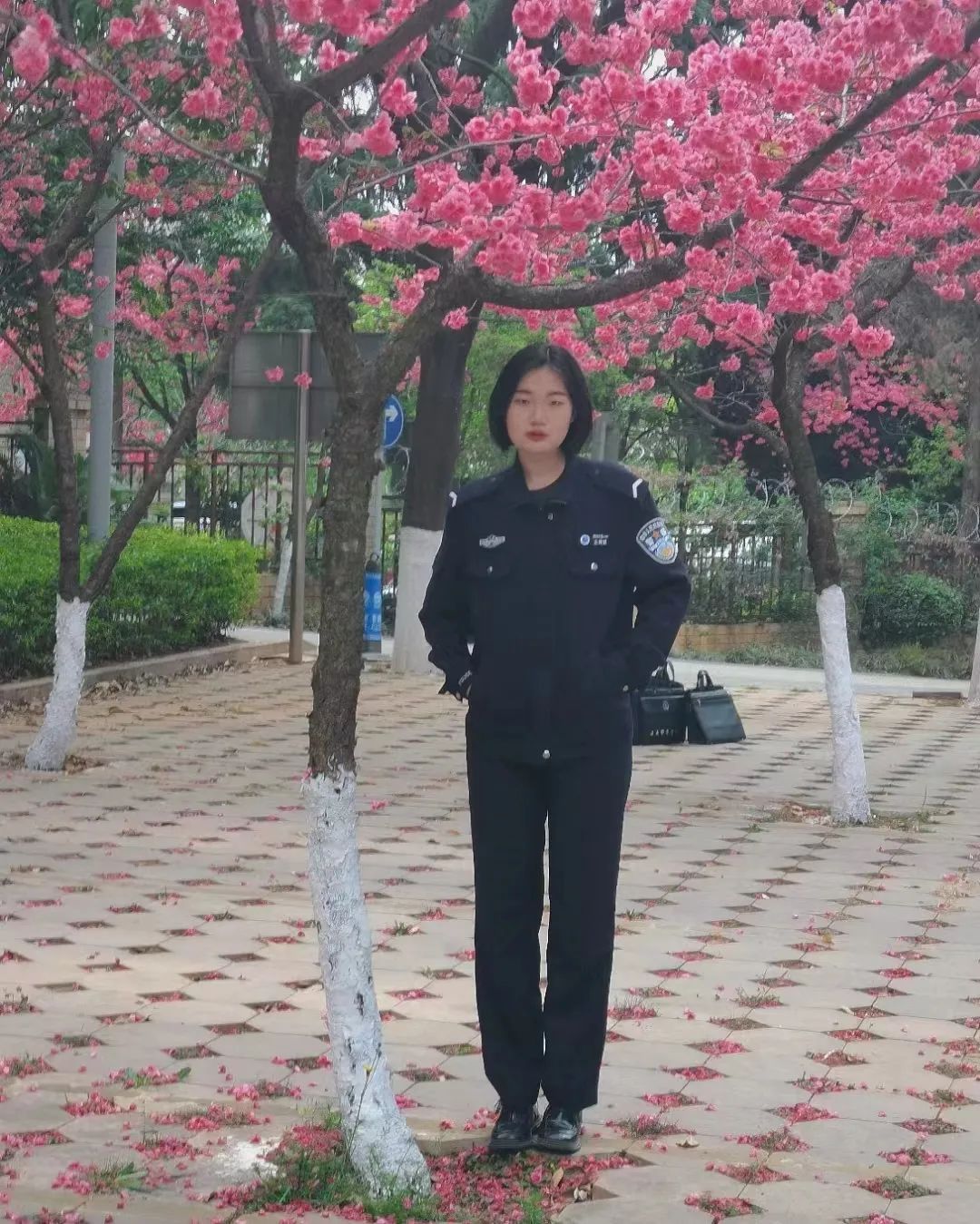 2024老澳门原料网大全