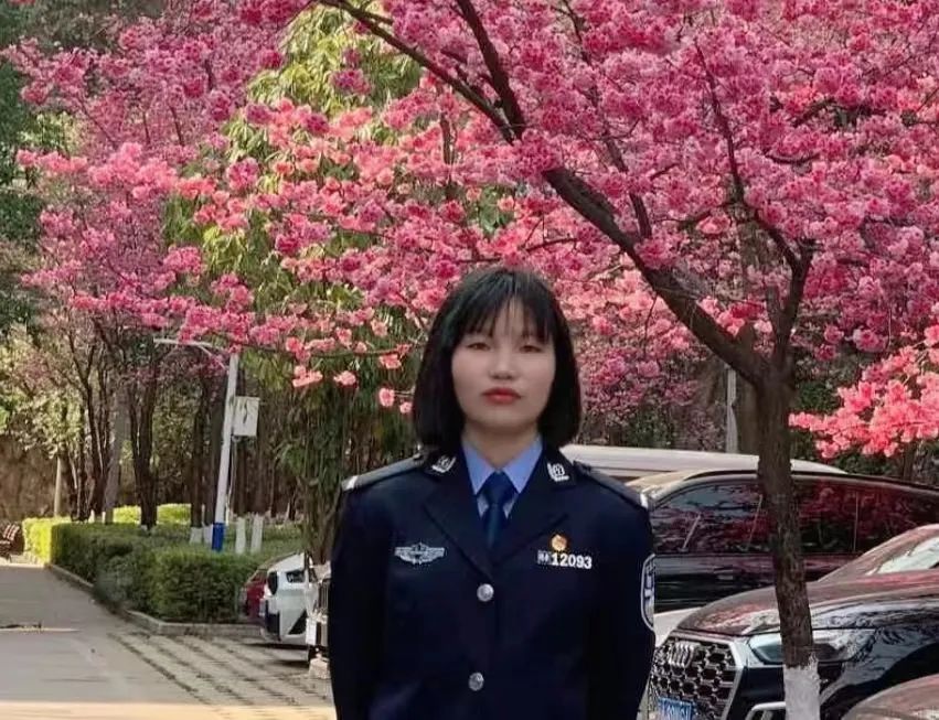 2024老澳门原料网大全