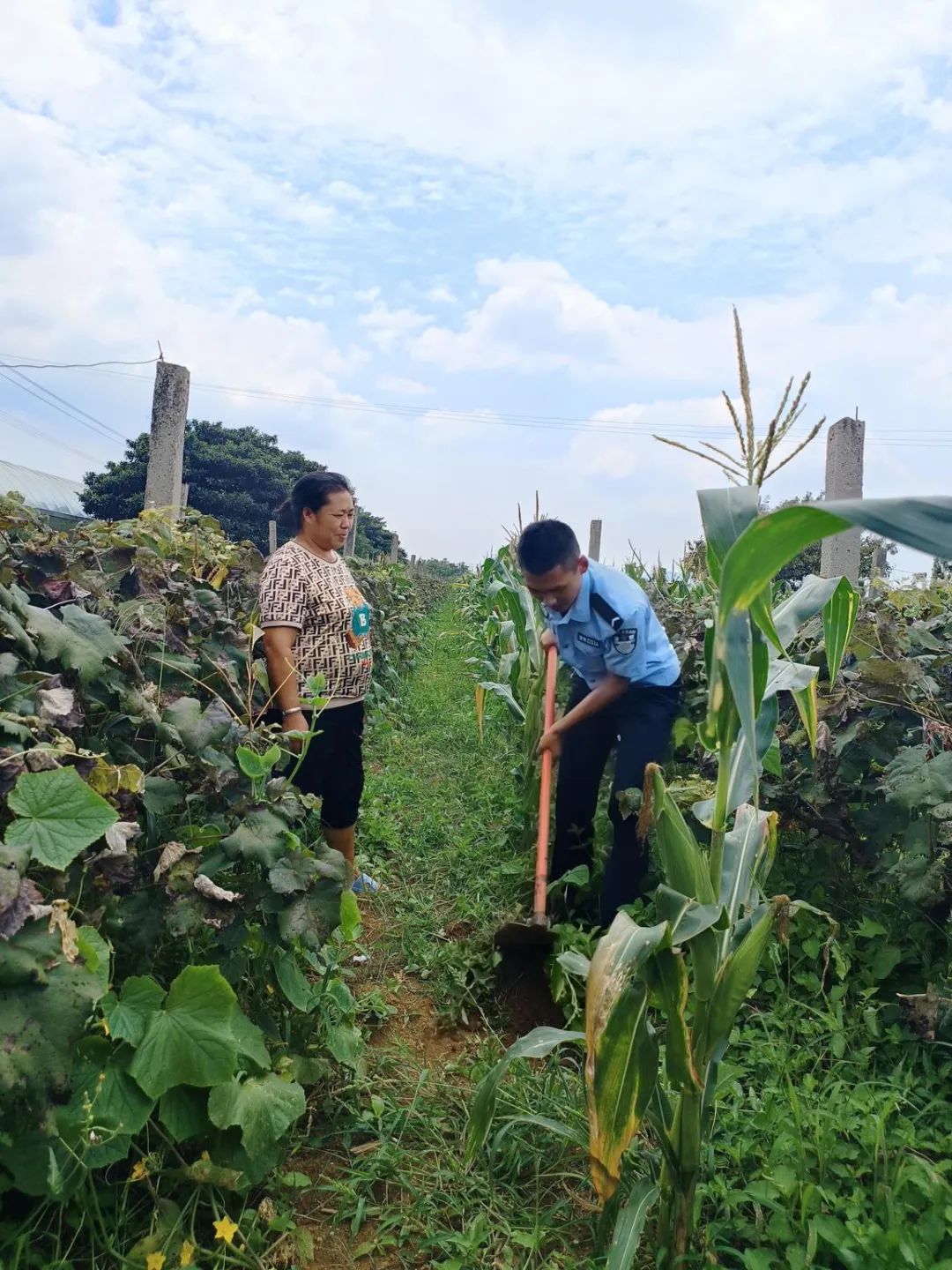 2024老澳门原料网大全
