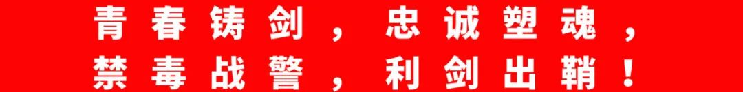 2024老澳门原料网大全