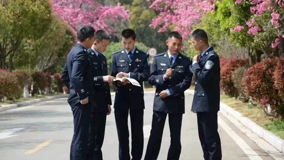 2024老澳门原料网大全