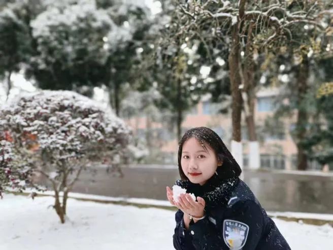 2024老澳门原料网大全