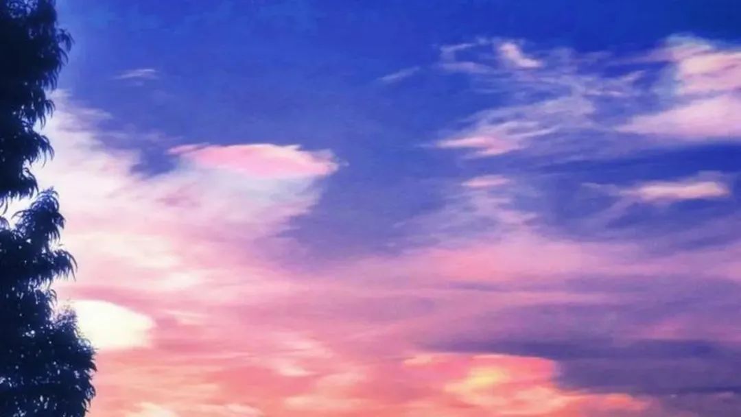 2024老澳门原料网大全