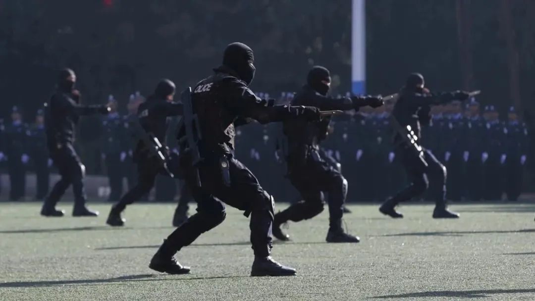 2024老澳门原料网大全