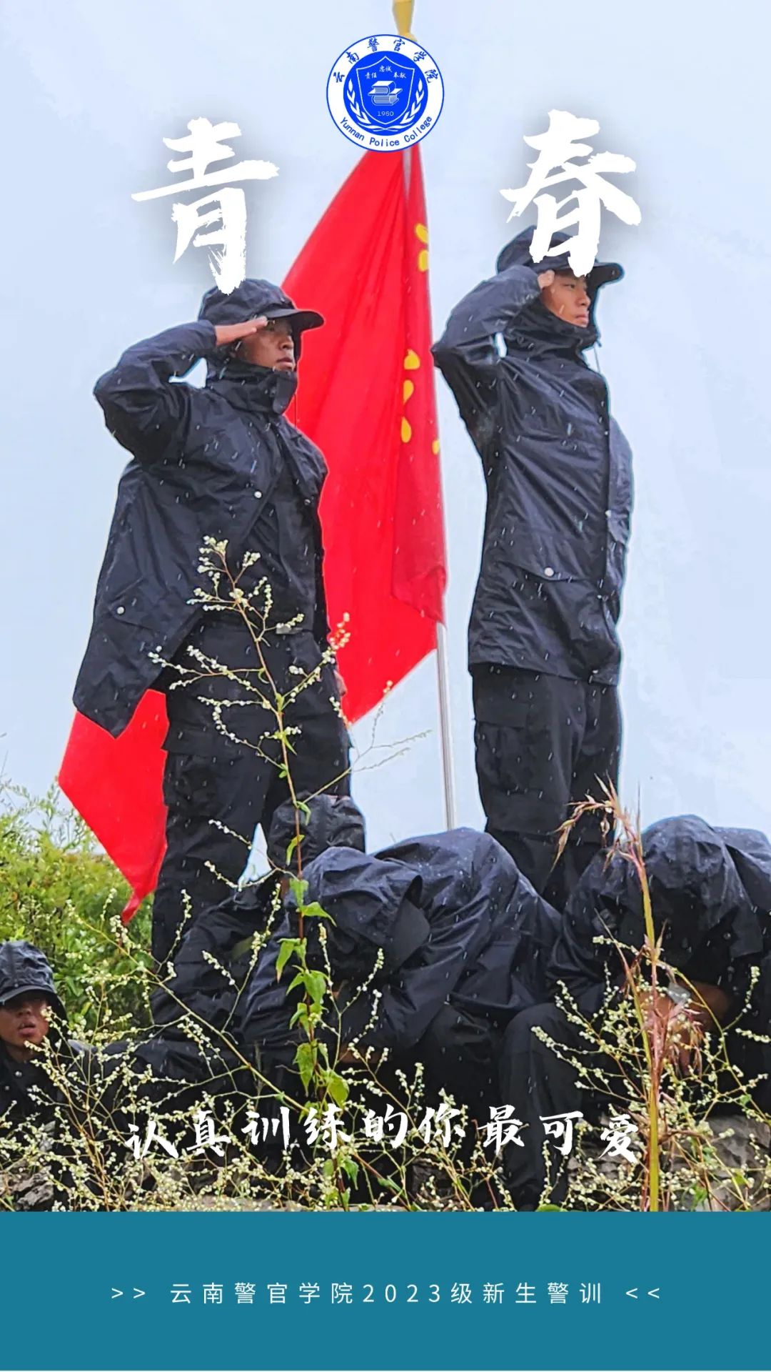 2024老澳门原料网大全