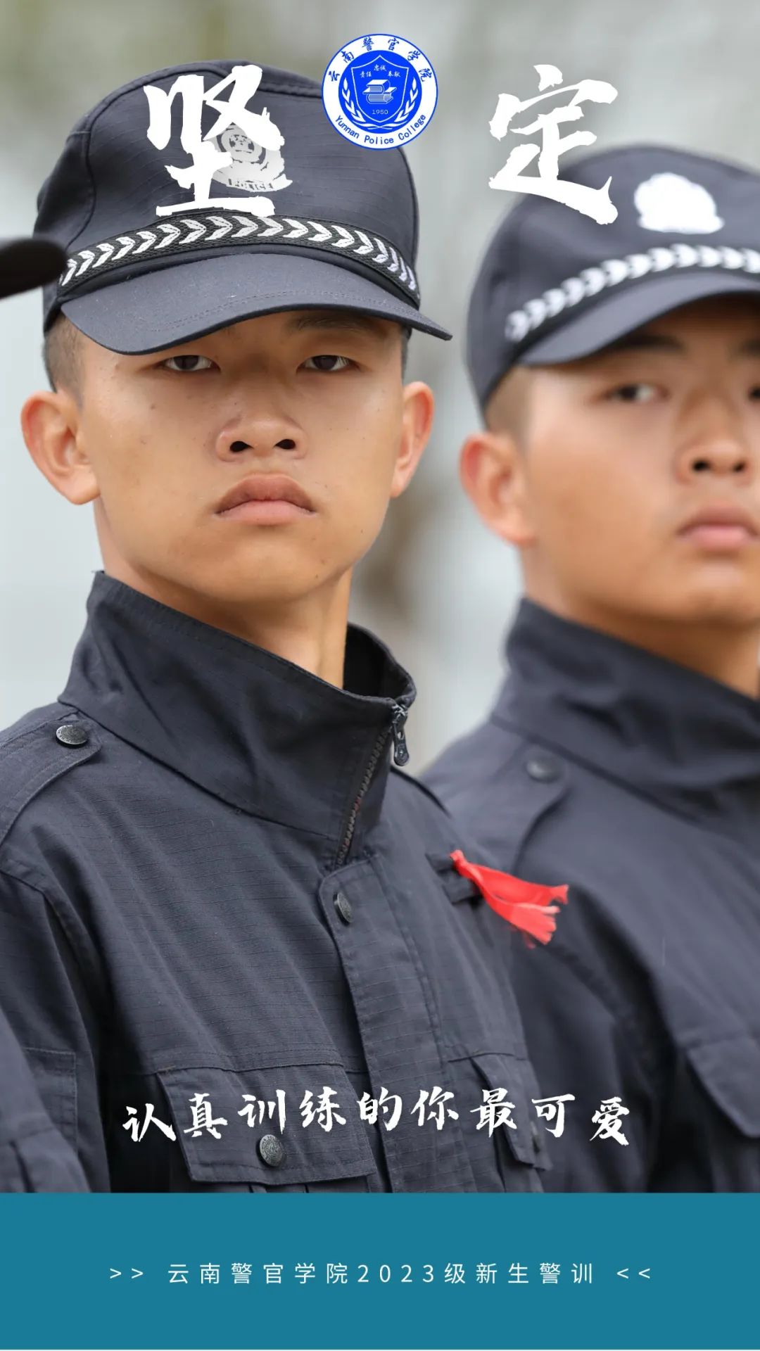 2024老澳门原料网大全