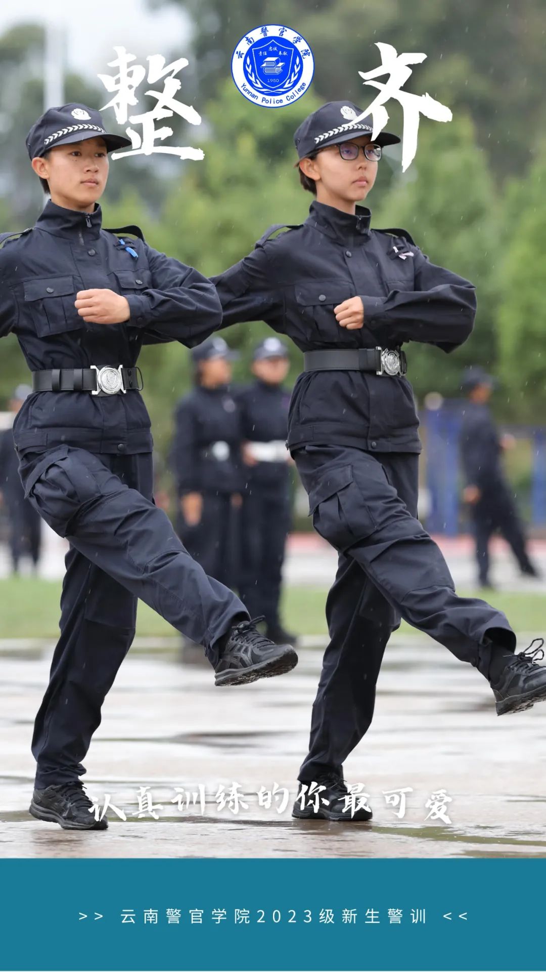 2024老澳门原料网大全