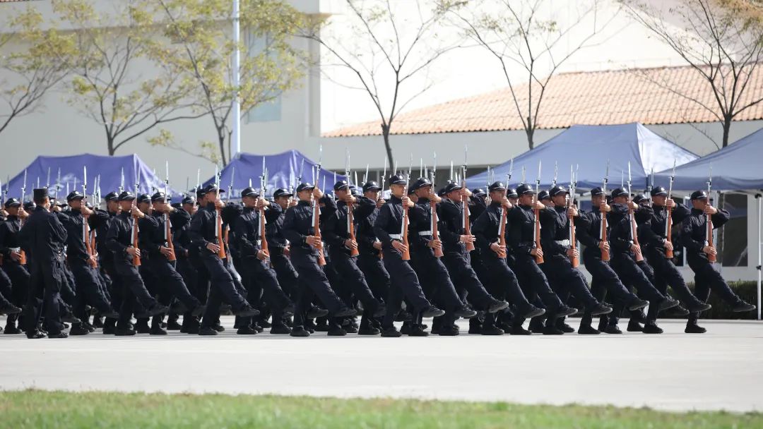 2024老澳门原料网大全