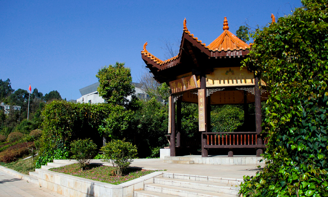 2024老澳门原料网大全