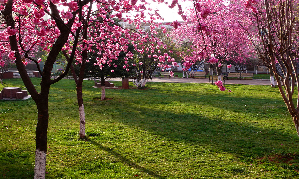 2024老澳门原料网大全