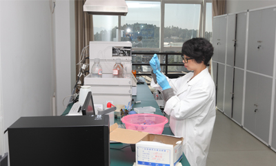 2024老澳门原料网大全