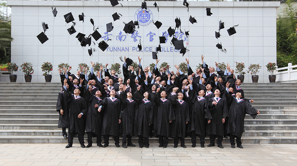 2024老澳门原料网大全