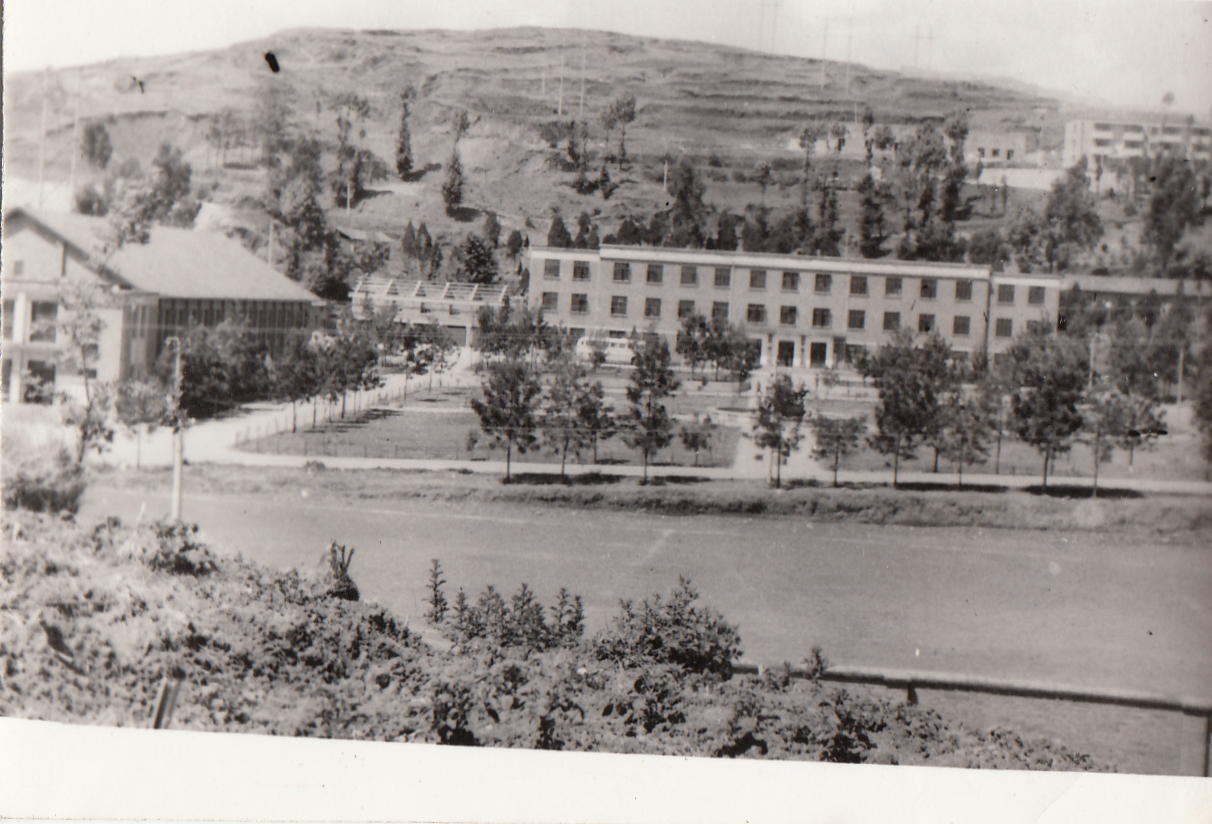 2024老澳门原料网大全