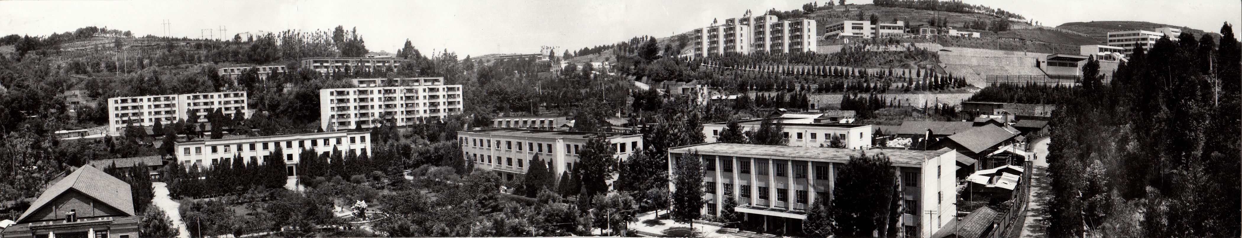 2024老澳门原料网大全