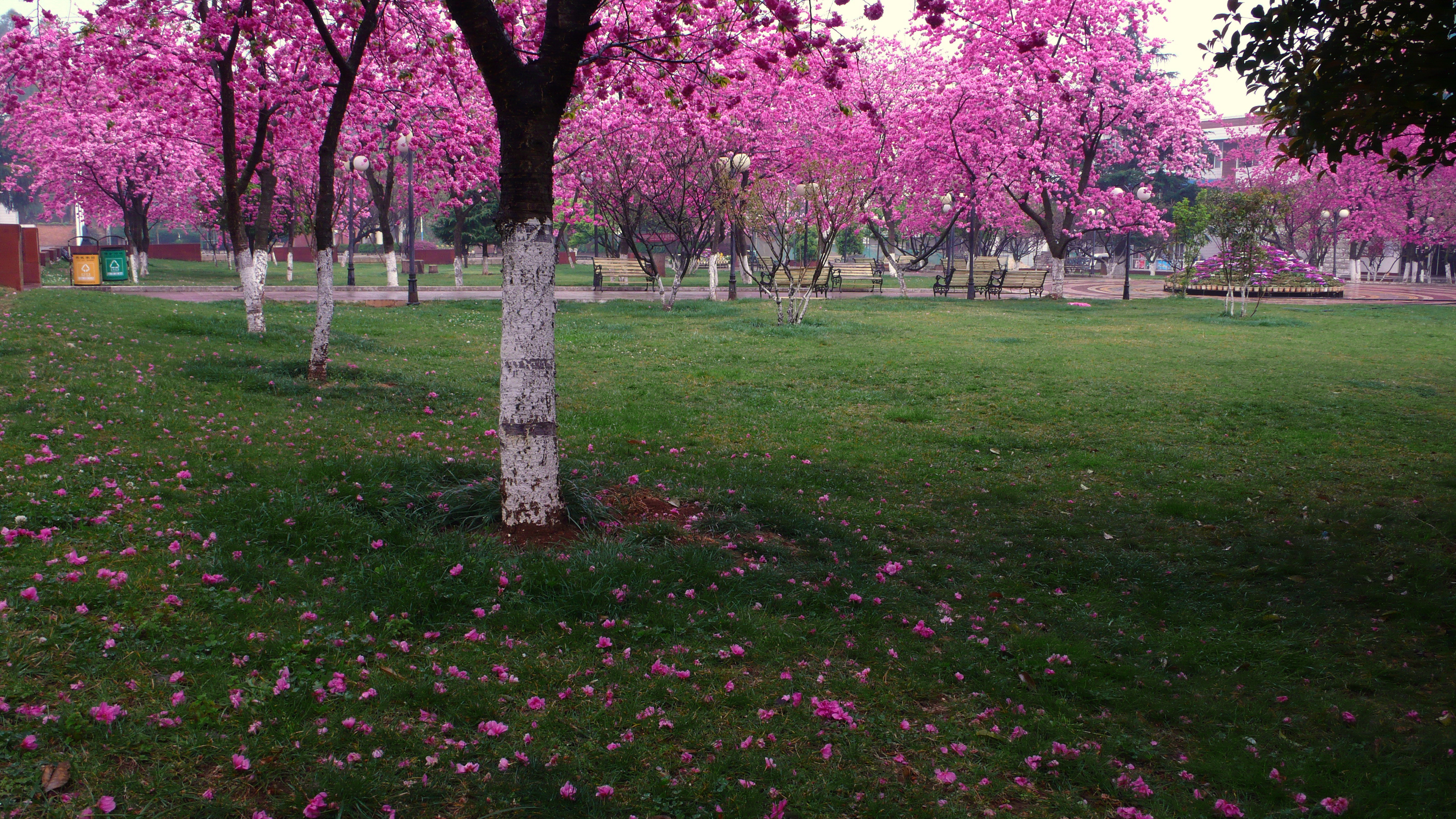 2024老澳门原料网大全