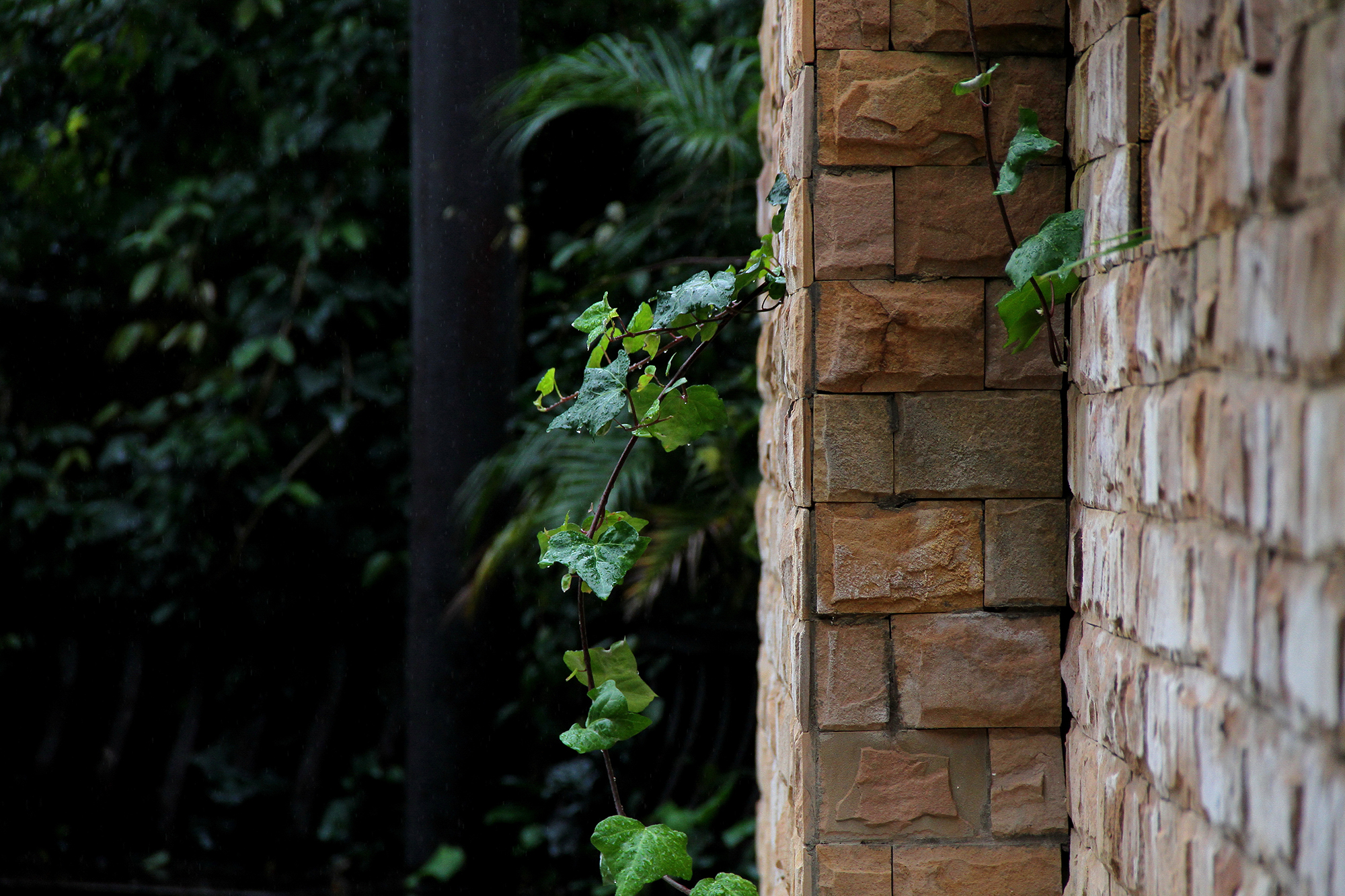 2024老澳门原料网大全