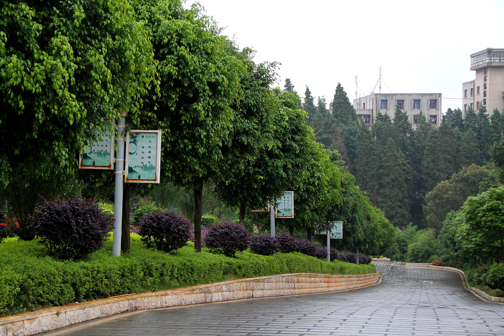 2024老澳门原料网大全