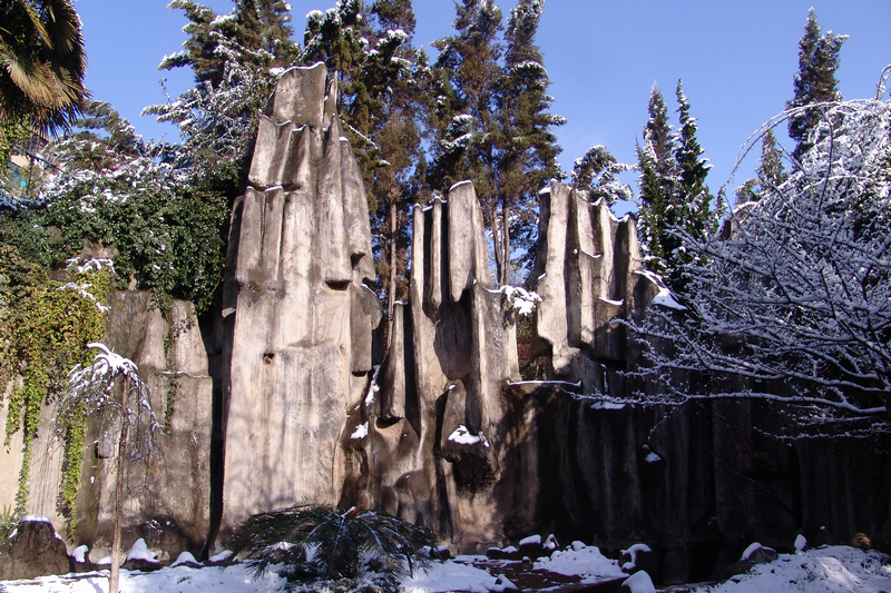 2024老澳门原料网大全