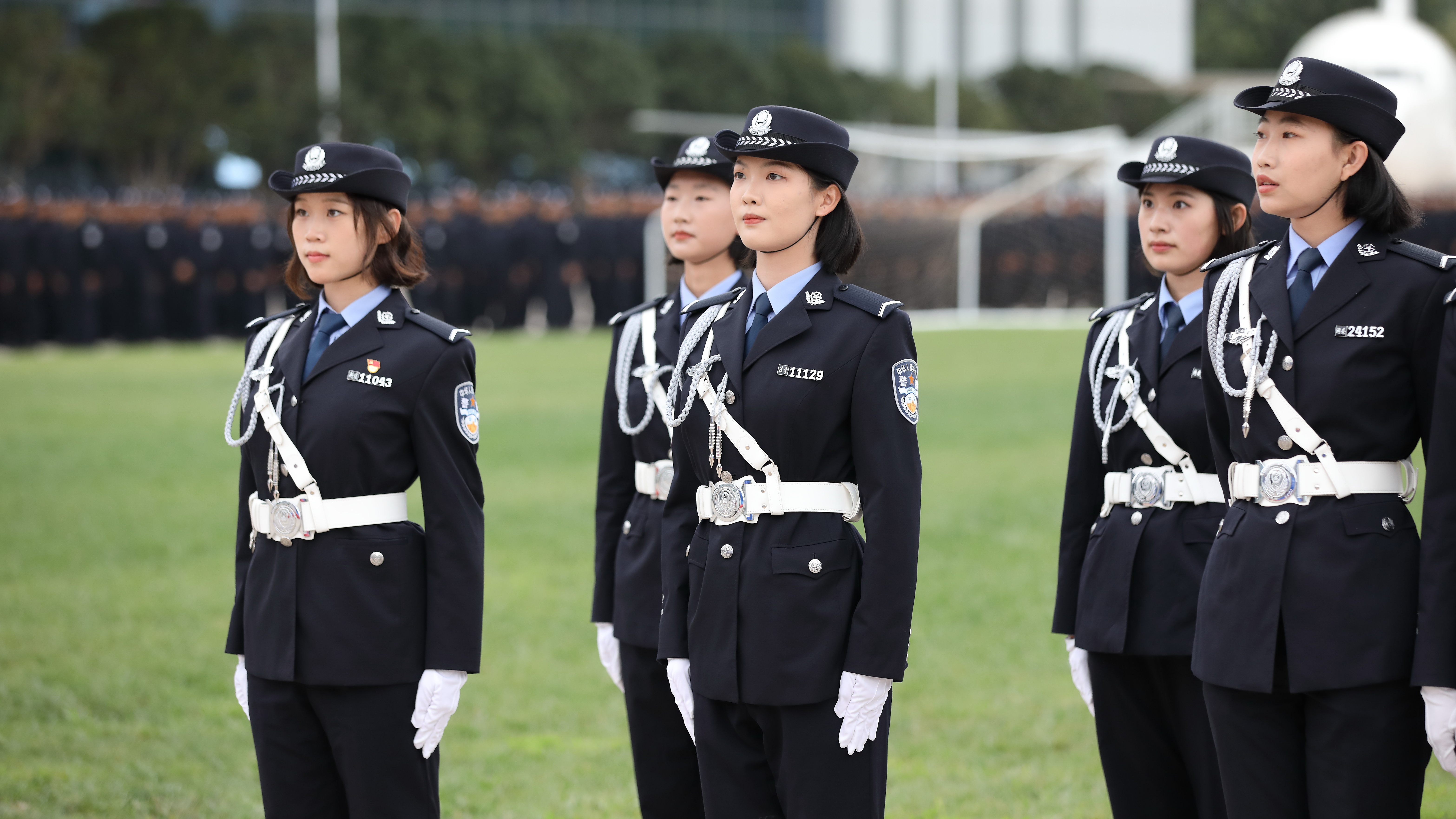 2024老澳门原料网大全