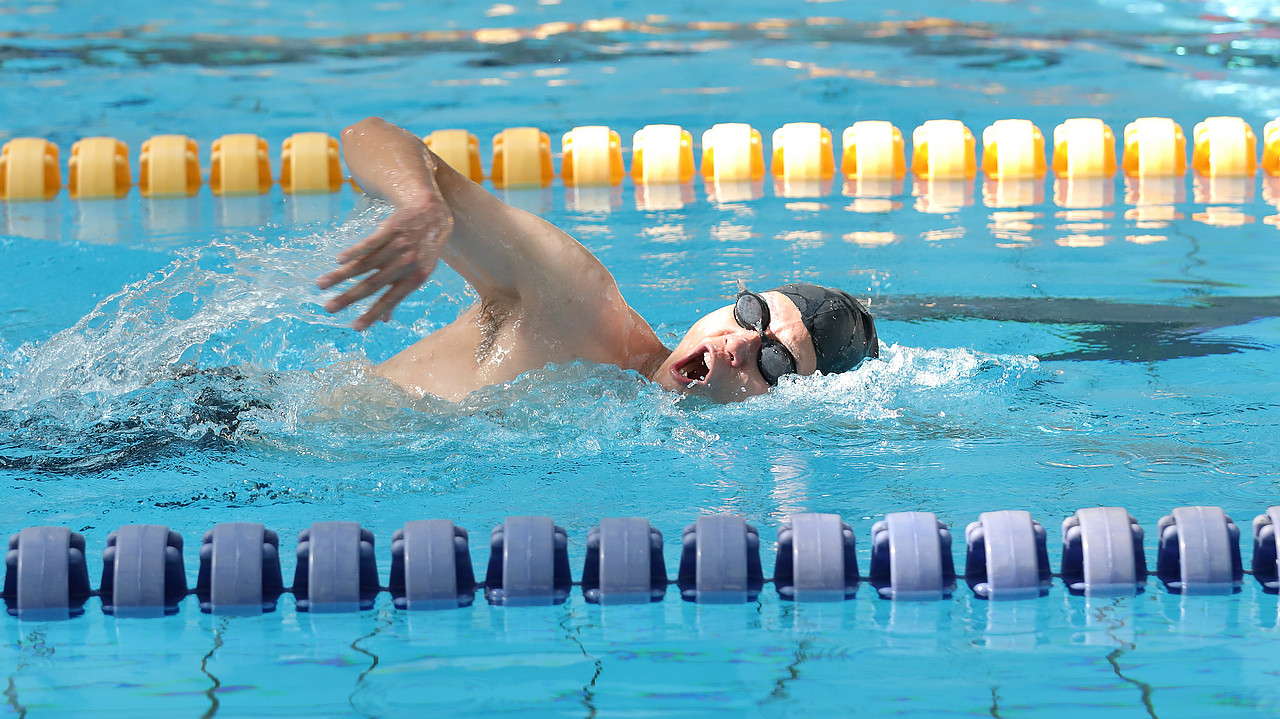 2024老澳门原料网大全