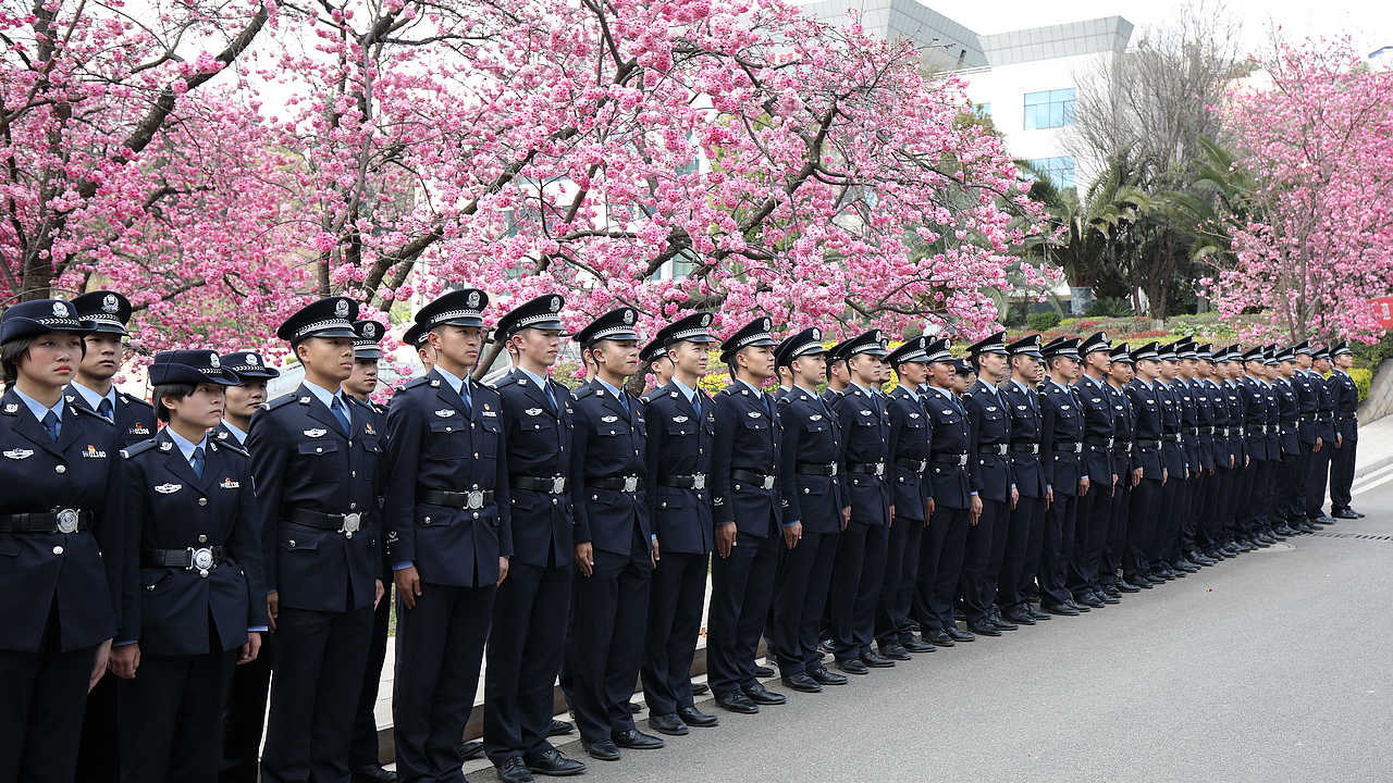 2024老澳门原料网大全