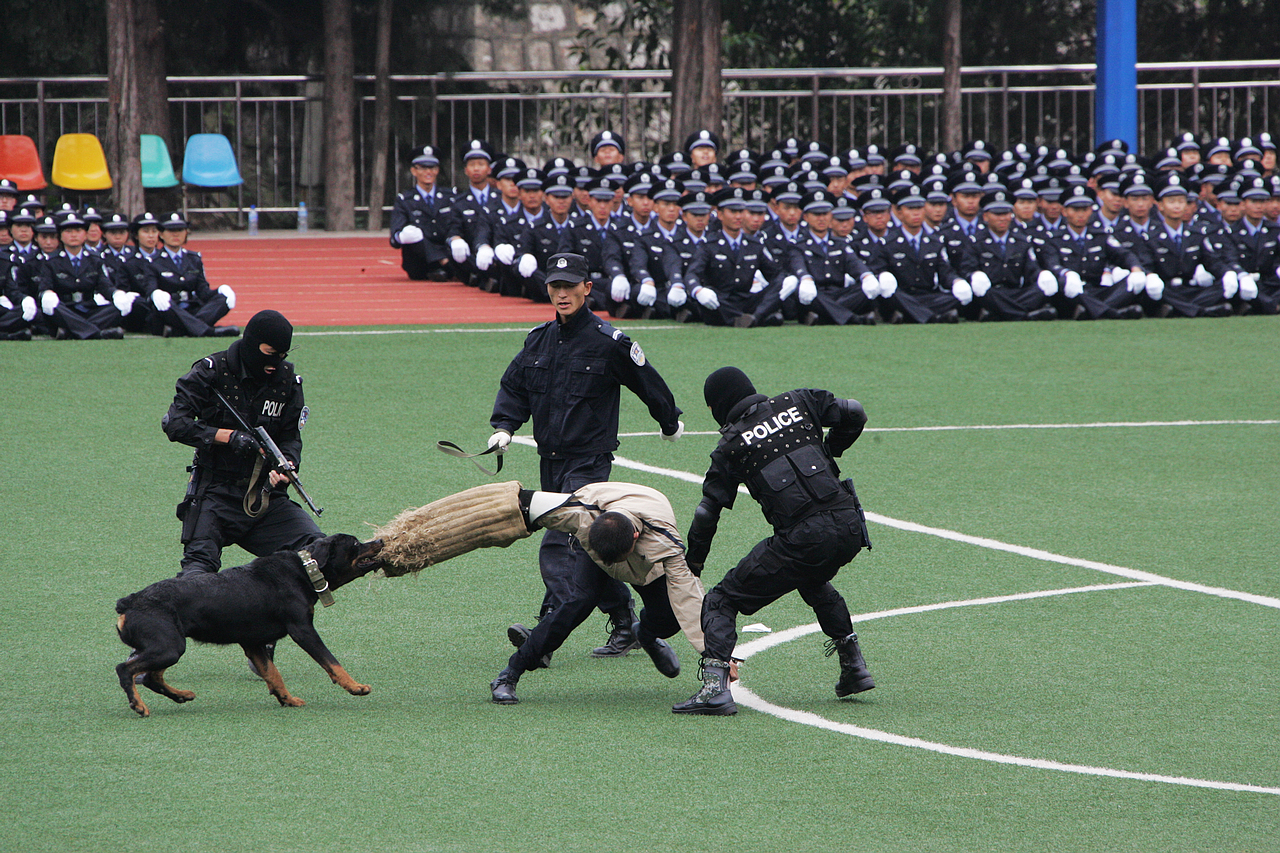 2024老澳门原料网大全