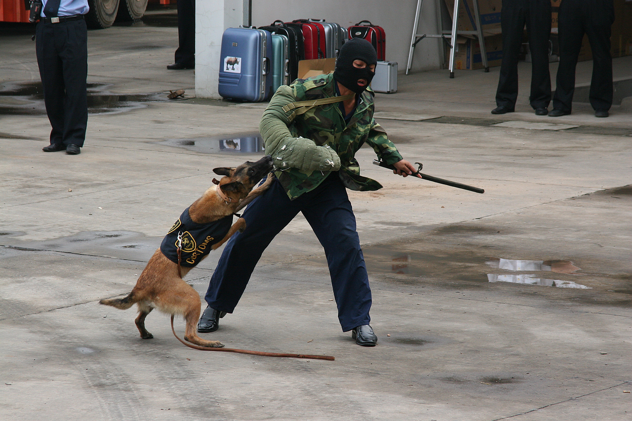 2024老澳门原料网大全