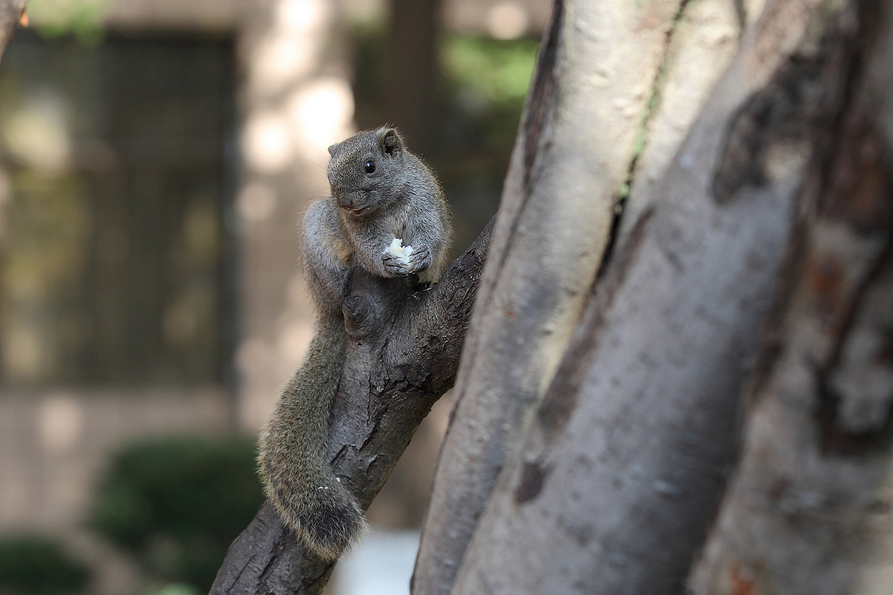 2024老澳门原料网大全