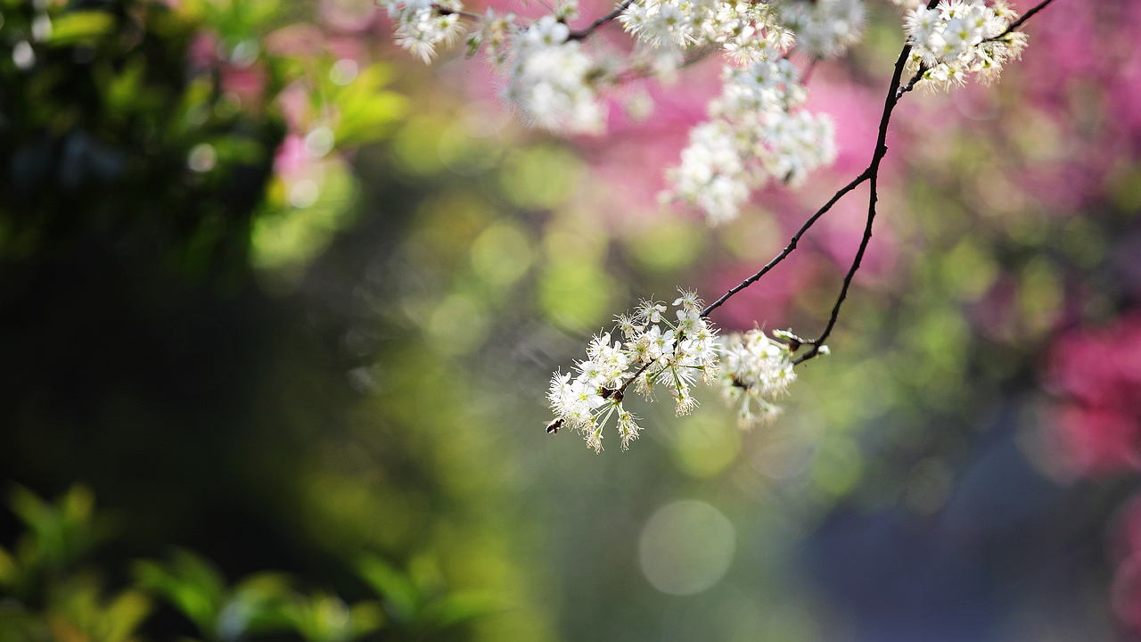 2024老澳门原料网大全