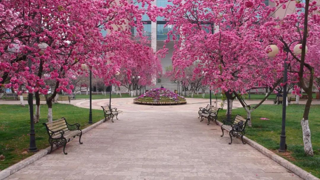 2024老澳门原料网大全