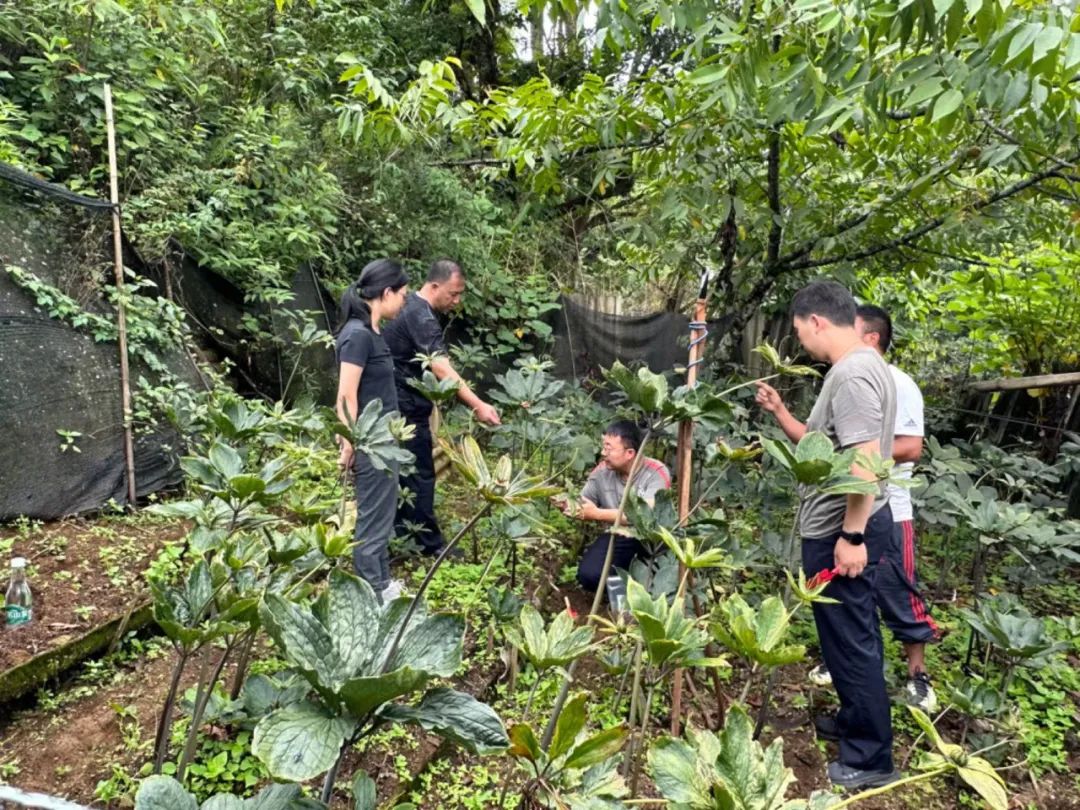 2024老澳门原料网大全