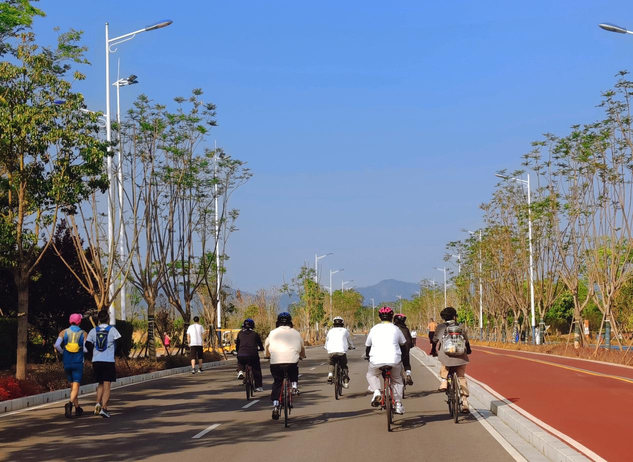 2024老澳门原料网大全