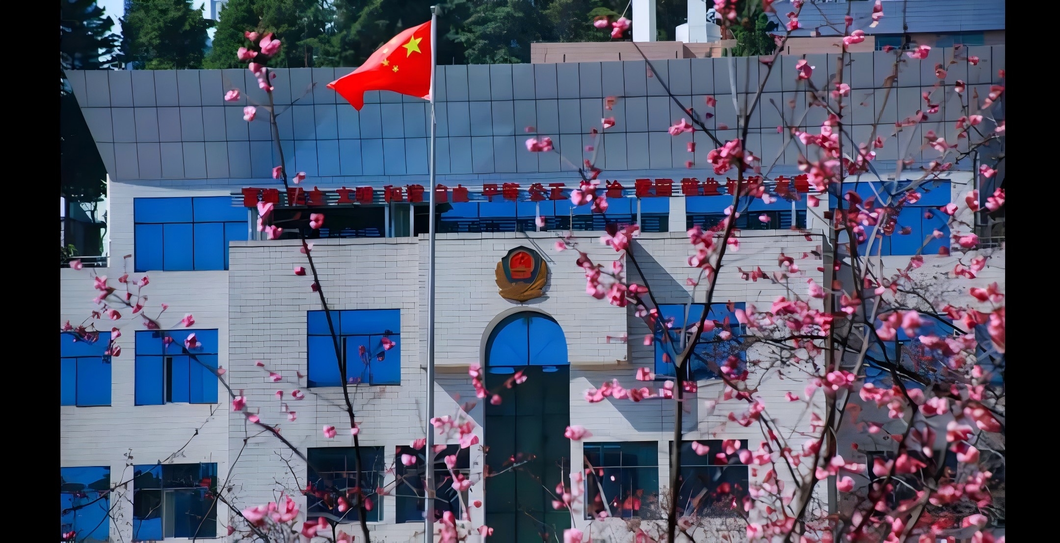 2024老澳门原料网大全