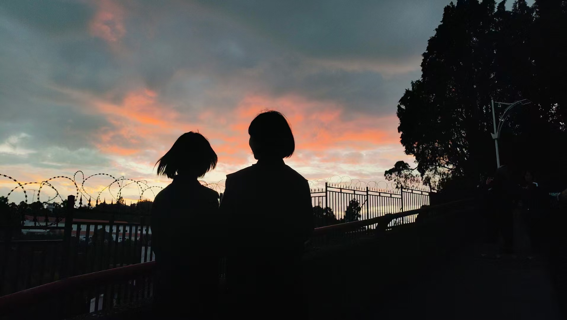 2024老澳门原料网大全