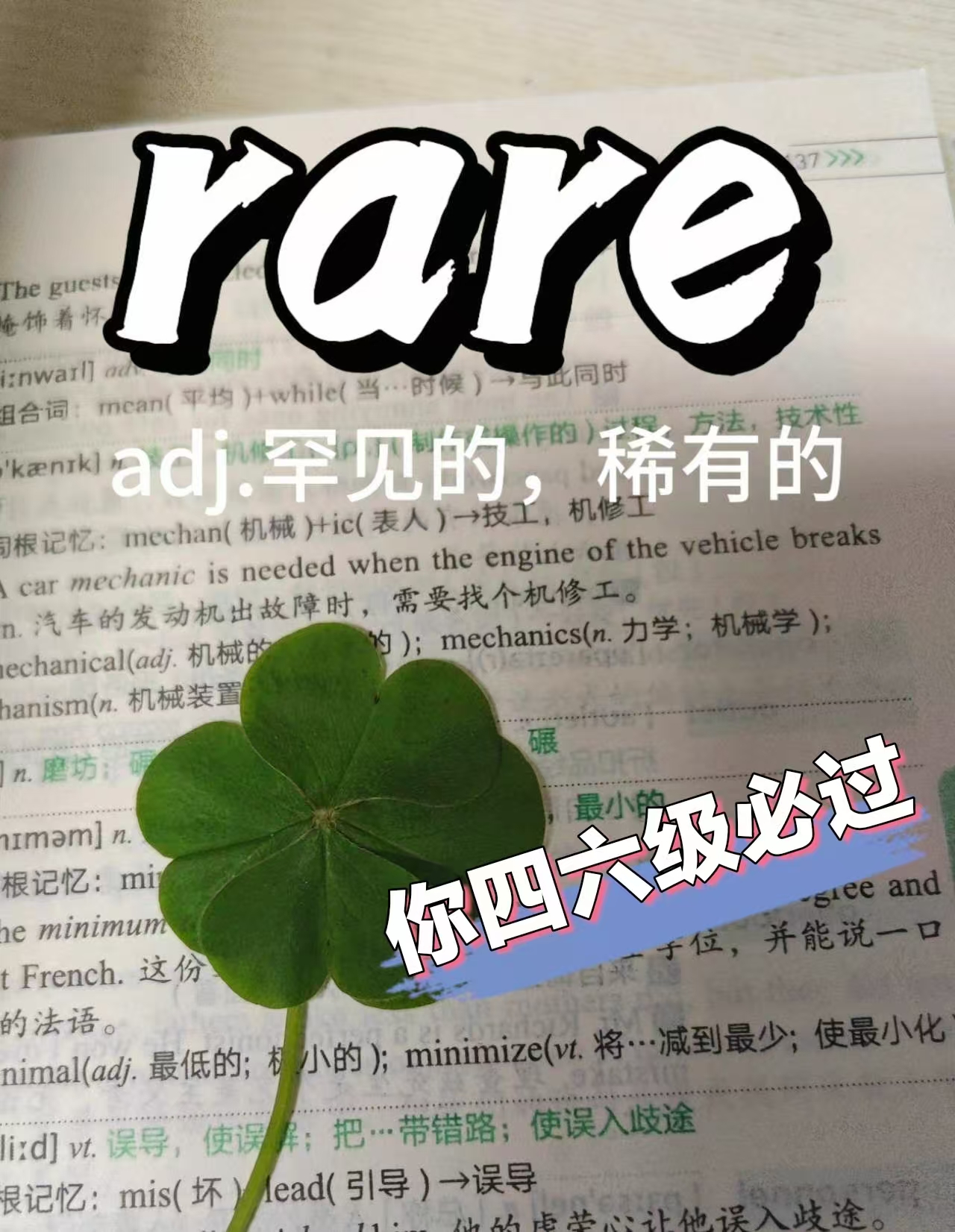 2024老澳门原料网大全