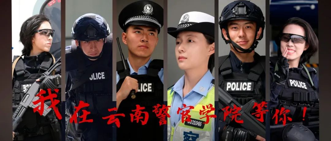 2024老澳门原料网大全