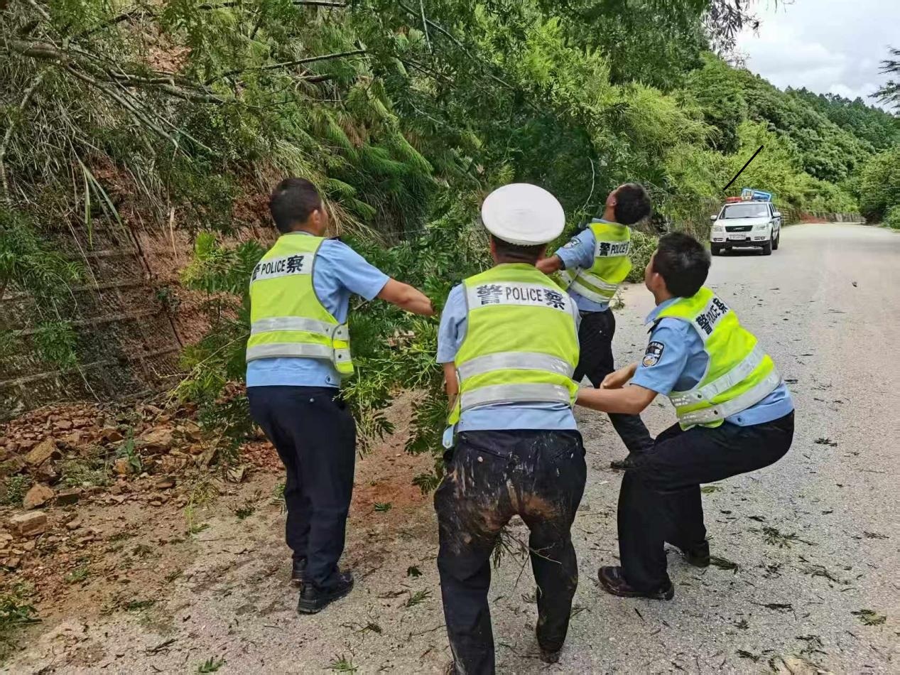 2024老澳门原料网大全